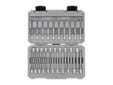 TEKTON 1/4 Inch Drive Long Hex and Torx Bit Socket Set with Case, 31-Piece (5/64-5/16 in., 2-8 mm, T6-T30) | SHB90303