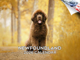 2025 2026 Newfoundland Calendar - Dog Breed Monthly Wall Calendar - 12 x 18 Open - Thick No-Bleed Paper - Giftable - Academic Te