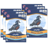 Mixed Media Art Paper, Heavyweight, 9 x 12, 60 Sheets Per Pack, 6 Packs