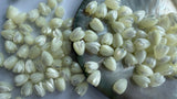 20 Pieces Hand Carved Real Natural White Mother of Pearl Pikake Beads 8mm x 11mm, A006
