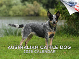 2025 2026 Australian Cattle Dog Calendar - Dog Breed Monthly Wall Calendar - 12 x 18 Open - Thick No-Bleed Paper - Giftable - Ac