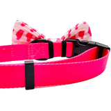 Cutie Ties Dog Bow Tie Ice Pops - 2 X 4 Premium Quality Bow Ties For Dogs - Fancy Dog Tie With Slip Over Elastic Bands - Cute Do