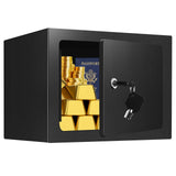 0.23 Cuft Small Home Safe Box, Steel Key Lock Boxes for Personal Items, Coins, Electronics, Mini Security Safe Box for Kids, Hom