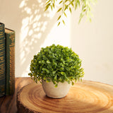 Pure Home And Living Green Faux Boxwood Grass With Cement Pot