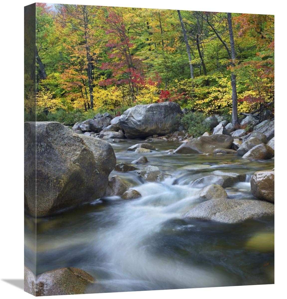 Swift River In Fall, White Mountains National Forest, New Hampshire-Canvas Art-18.7X22