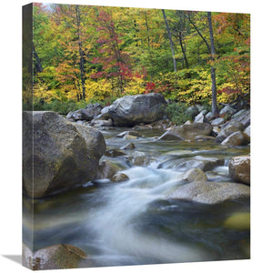 Swift River In Fall, White Mountains National Forest, New Hampshire-Canvas Art-18.7X22
