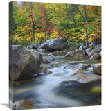Swift River In Fall, White Mountains National Forest, New Hampshire-Canvas Art-18.7X22