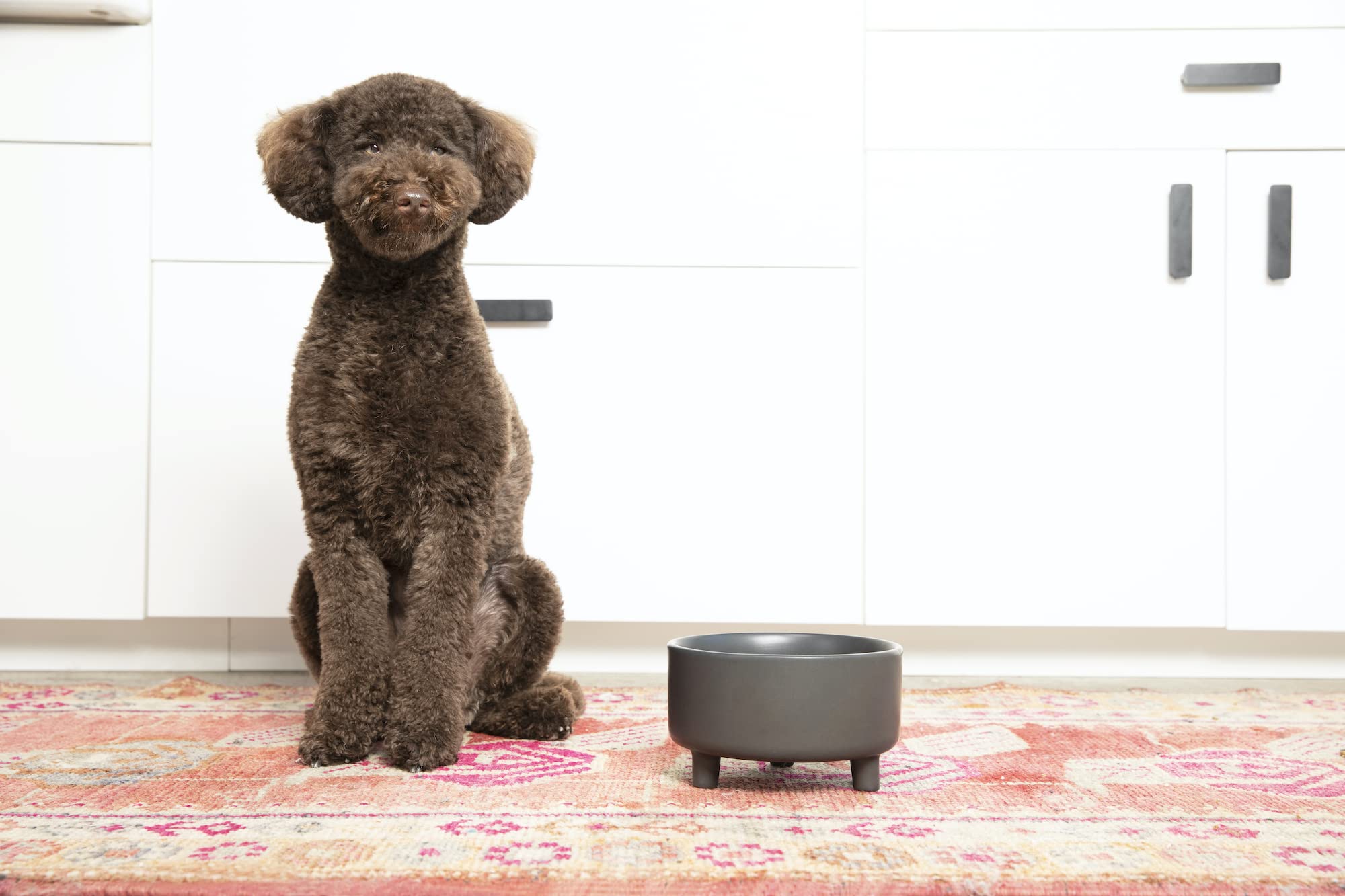 Waggo Uplift Ceramic Dog Bowl for Small Medium and Large Breeds - Heavyweight and Durable Pet Food and Water Dish Crock, Dishwas