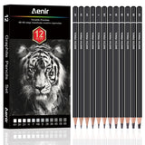 Aenir Sketch Pencils for Drawing, Set of 12 Drawing Pencils for Sketching Medium (6B - 4H), Artist Graphite Pencils, Sketch Set 
