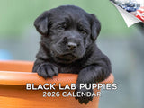 2025 2026 Labrador Pups Black Calendar - Dog Breed Monthly Wall Calendar - 12 x 18 Open - Thick No-Bleed Paper - Giftable - Acad