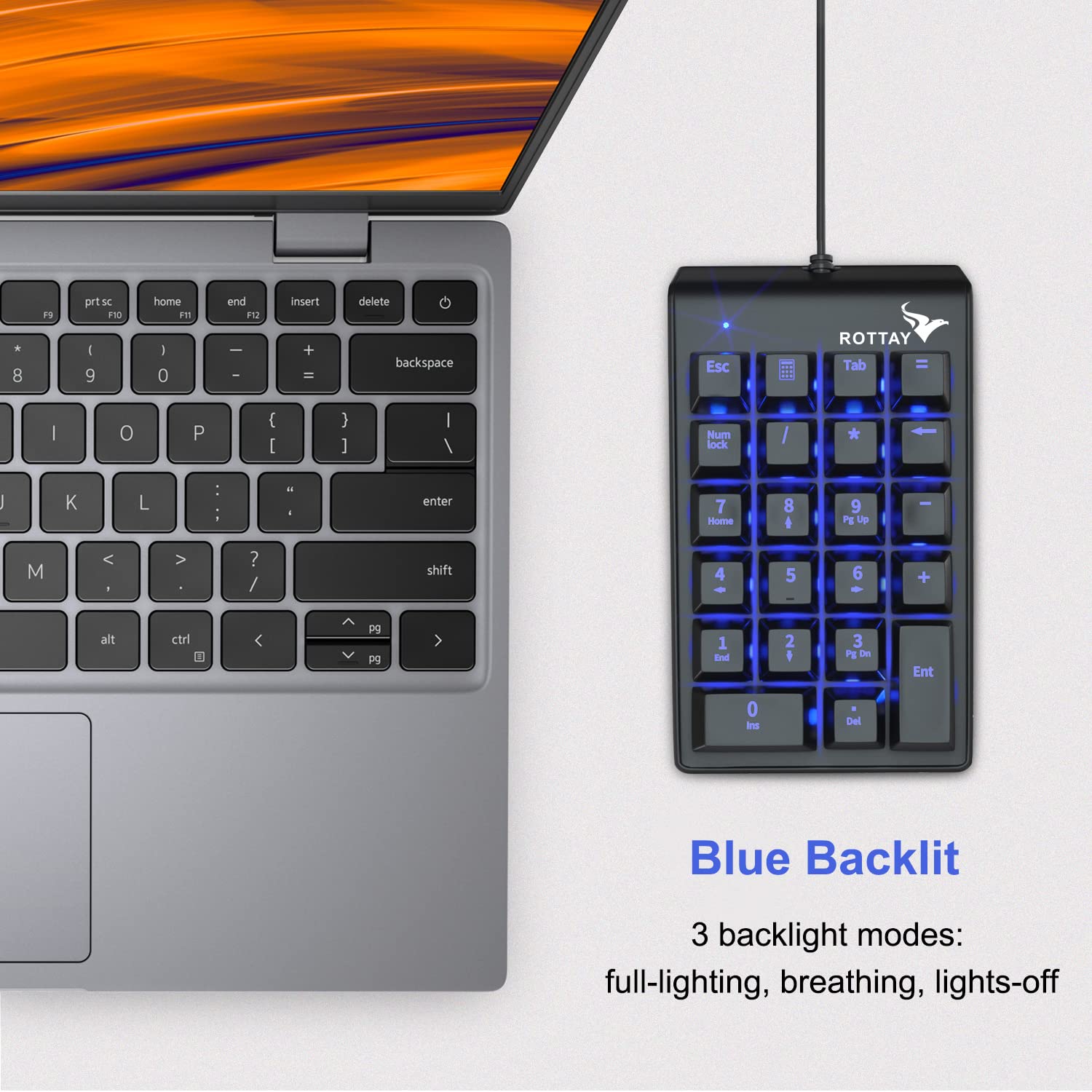 Rottay Number Pad, Mechanical USB Wired Numeric Keypad with Blue LED Backlit 22 Key Numpad for Laptop Desktop Computer PC Black