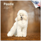 2023 2024 Poodle Calendar Dog Breed Monthly Wall Calendar 12 x 24 Open Thick NoBleed Paper Giftable Academic Teacher