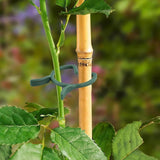 Enakshi Plant Clips For Climbing Plants Sturdy Reusable For Pumpkins Flowers Peppers 1.6Cm 2.6Cm|Gardening Supplies | Plant Care