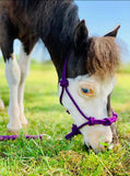 Star Point Horsemanship Mini-Pony 4 Knotted Training Rope Horse Halter with Stiff Cord, Adjustable, Long Lasting, Quick Release 