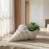 3D Printed Seashell Planter | Modern Coastal Succulent Pot For Indoor Plants | Minimal White Shell Planter For Tabletop, Shelf, 