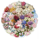 S.A.V.I 50 Pcs Multicolor Floral Stickers Pack, Waterproof Vinyl Decals