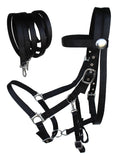 CHALLENGER Horse Western English Black Nylon Halter Bridle Combo with Reins 60111BK-F