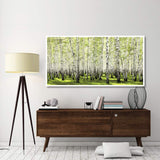 Birch Forest In Spring-Paper Art-74,,X38,,