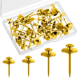 Zhengmy 40 Pcs Double Headed Picture Hangers Nails 4 Size Long Thumb Tacks Wall Nails for Hanging Pictures Decorative Push Pins 