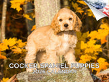 2025 2026 Cocker Spaniel Pups Calendar - Dog Breed Monthly Wall Calendar - 12 x 18 Open - Thick No-Bleed Paper - Giftable - Acad