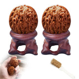 Wenwan Walnuts Set, Two Wen wan Walnut with Display Stands and Cleaning Brush, Traditional Hand Exercise Walnuts for Stress Reli