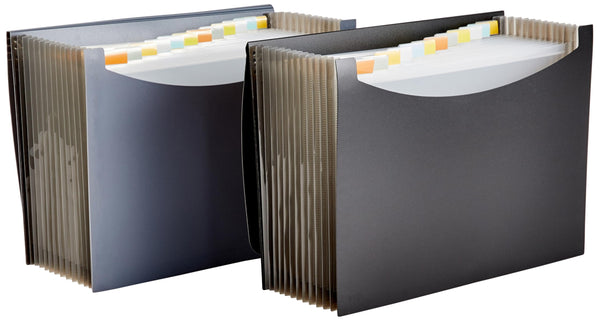 Amazon Basics Expanding Organizer File Folder, Letter Size - Black & G ...