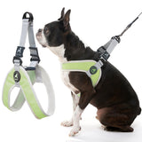 Gooby Simple Step in III Harness - Green, Small - Small Dog Harness with Scratch Resistant Outer Vest - Soft Inner Mesh Harness 