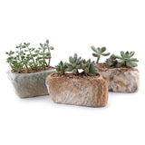 T4U 5.25 Distinctive Stone Shape Sucuulent Cactus Plant Pots Flower Pots Planters Containers Window Boxes With Small Hole Set O