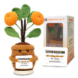Sakkrrua Handmade Emotional Positive Flower Crochet, Cute Cheer Up Gifts for Women, Crochet Plant with Inspirational Card for Nu