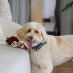 Ethical Pets Gigglers Chicken Dog Toy, 12-Inch, Assorted