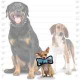 TUFFY - World's Tuffest Soft Dog Toy - Ultimate Bone-Squeakers - Multiple Layers. Made Durable, Strong & Tough. Interactive Play