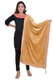Sneh WomenS Velvet Heavy Work Stole With Tassel (Golden,Free Size)