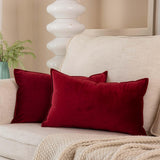 JUSPURBET Velvet Lumbar Throw Pillow Covers 14x24 Set of 2,Red Wine