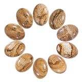 SUNYIK Picture Jasper Cabochons CAB for Jewelry Making,18x25mm,Pack of 10