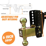 PSAUTO Adjustable Ball Mount Trailer Hitch 2-inch Receiver, 6-inch Drop, 20,000 LBS, 2 and 2-5/16 inch Balls - Gooseneck
