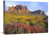 Chuparosa And Brittlebush Superstition Mountains, Arizona-Canvas Art-24X18