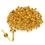 Performore 500 Pcs of 8mm x 16mm Brass Round Head Fastener, Brads for Arts and Crafts, Scrapbooking, Decorating and DIY Uses, Fl