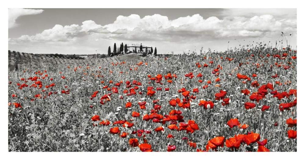 Farm House With Cypresses And Poppies, Tuscany, Italy-Paper Art-38,,X20,,