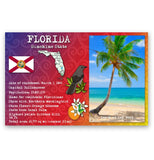 FLORIDA STATE FACTS postcard set of 20 identical postcards. Post cards with FL facts and state symbols. Made in USA.