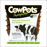 CowPots #4 Square - 12 ct. Biodegradable Pots