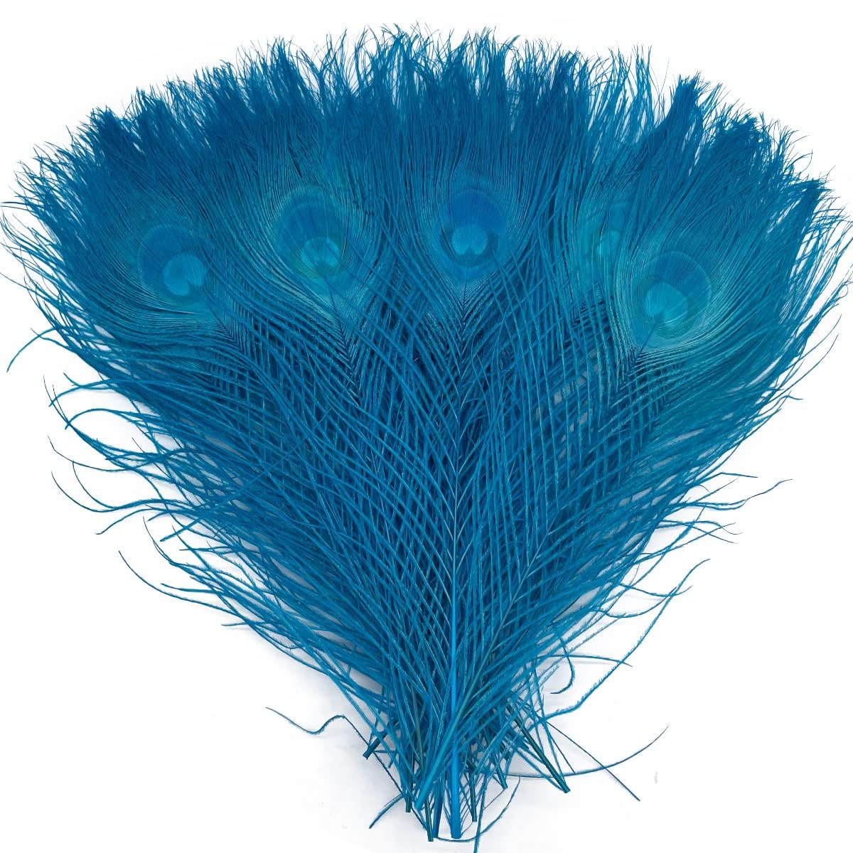 20pcs Turquoise Blue Peacock Feathers 10-12Inch Feather for Crafts & Decoration Christmas Tree Wedding Party Ornaments Hat Costu