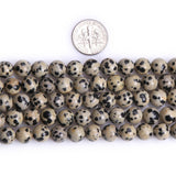 10mm Natural Dalmatian Jasper Beads Round Gemstone Loose Beads for Jewelry Making (38-40pcs/strand)