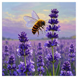 hill froeistung Lavender Diamond Art Kits for Adults,Bee 5D Diamond Art Painting Kits for Beginners,DIY Paint with Round Full Dr