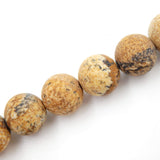 Matte Gemstone Beads for Jewelry Making, Sold per Bag 5 Strands Inside (Matte Picture Jasper, 8mm)
