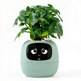 Tphraval Intelligent Flower Pot, Electronic Bud, Maintenance Plant Assistant, Fun Interactive Flower Pot, Indoor Green Planting 
