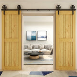 CCJH 14ft Heavy Duty Double Sliding Barn Door Hardware Kit -Smoothly and Quietly -Fit 42 inch Door Panel (Big Spoke Wheel Hanger