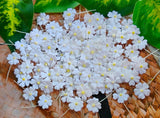 HukDok Mini Flowers with Thread Stem Mulberry Paper Flower Embellishment Card Craft Supplies Scrapbooking DIY Card Crafts Projec