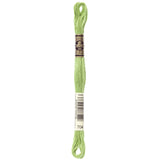 Dmc 6Strand Embroidery Cotton 8.7ydBright Chartreuse