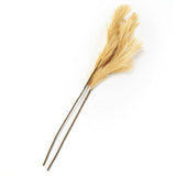 Natural Hays and Grasses Home Accents Natural Set of 2 Picks