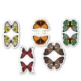 woopme Set of 5 Light Colored Butterfly Magnetic Bookmark for Book Lovers Readers Students Gift Magnetic Page Clips Folding